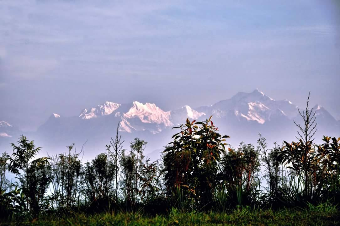 Charkhol