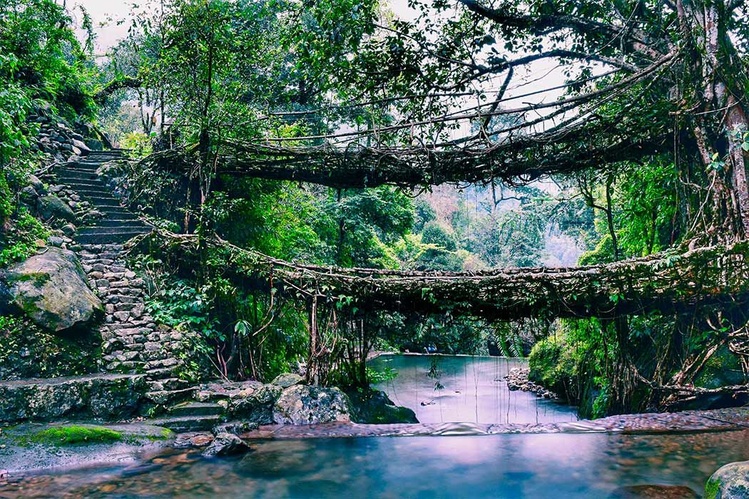 Meghalaya