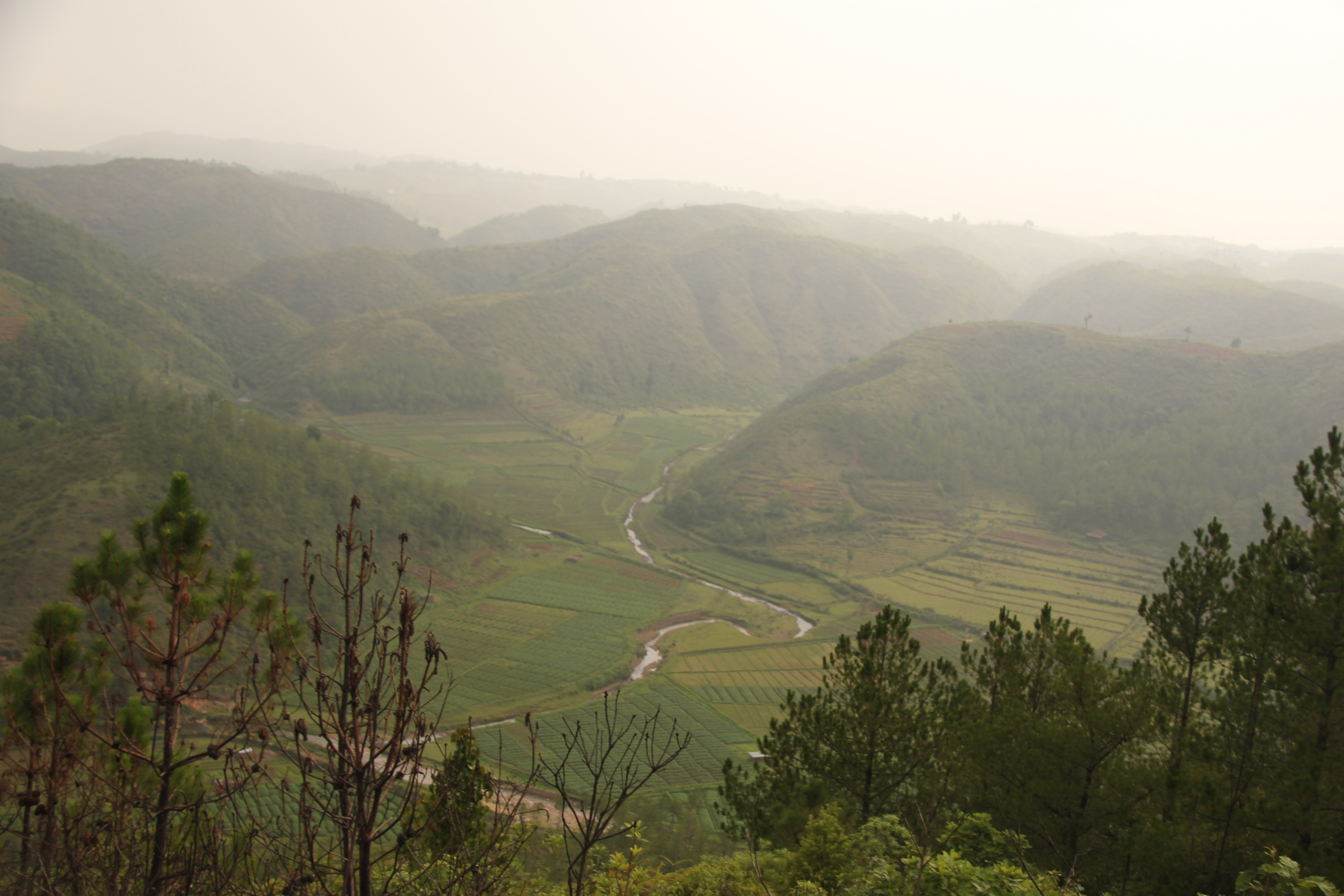 Mawphlang Sacred Forest
