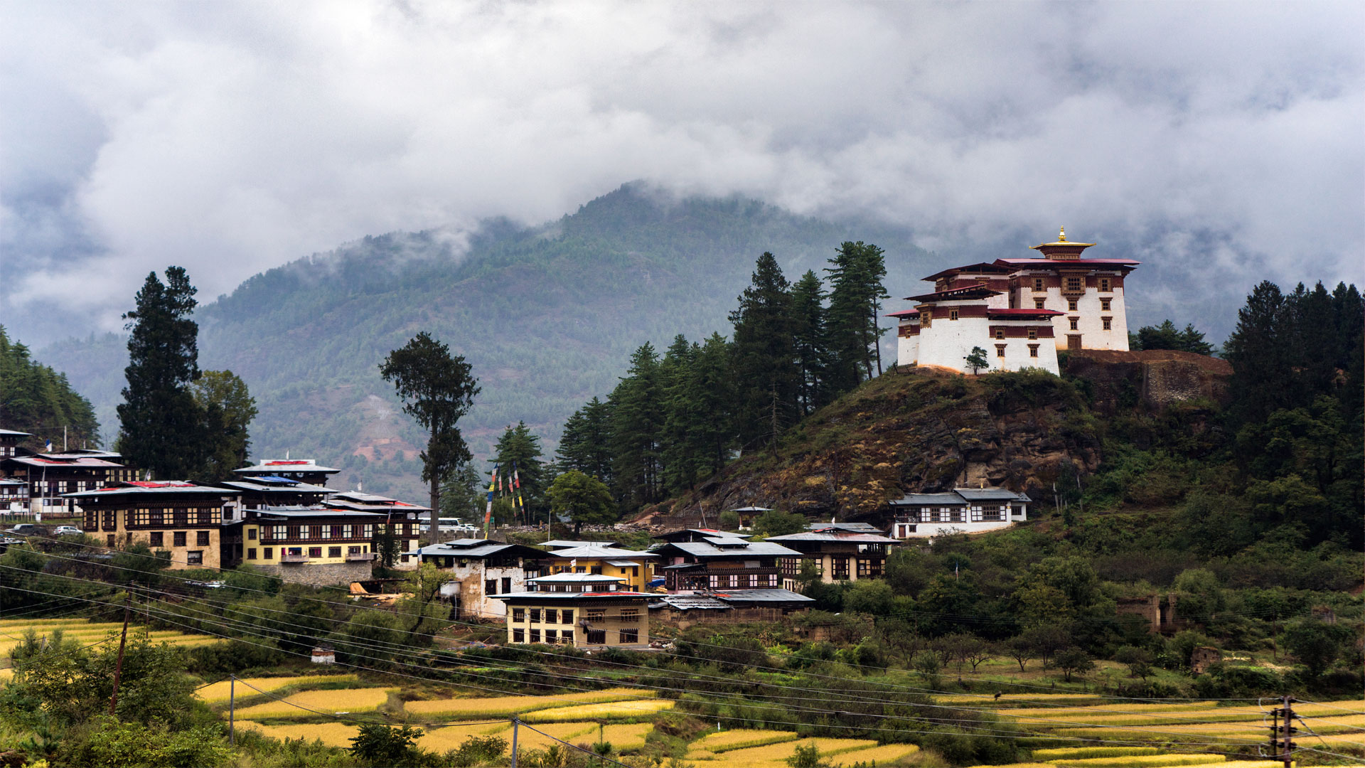 Paro